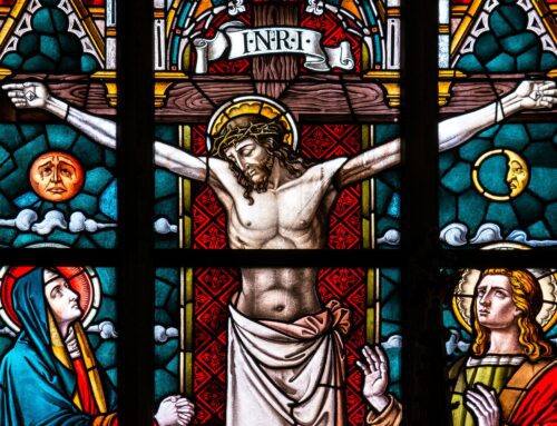 40 days Praying for the Consecration of the Human Race to the Sacred Heart of Jesus